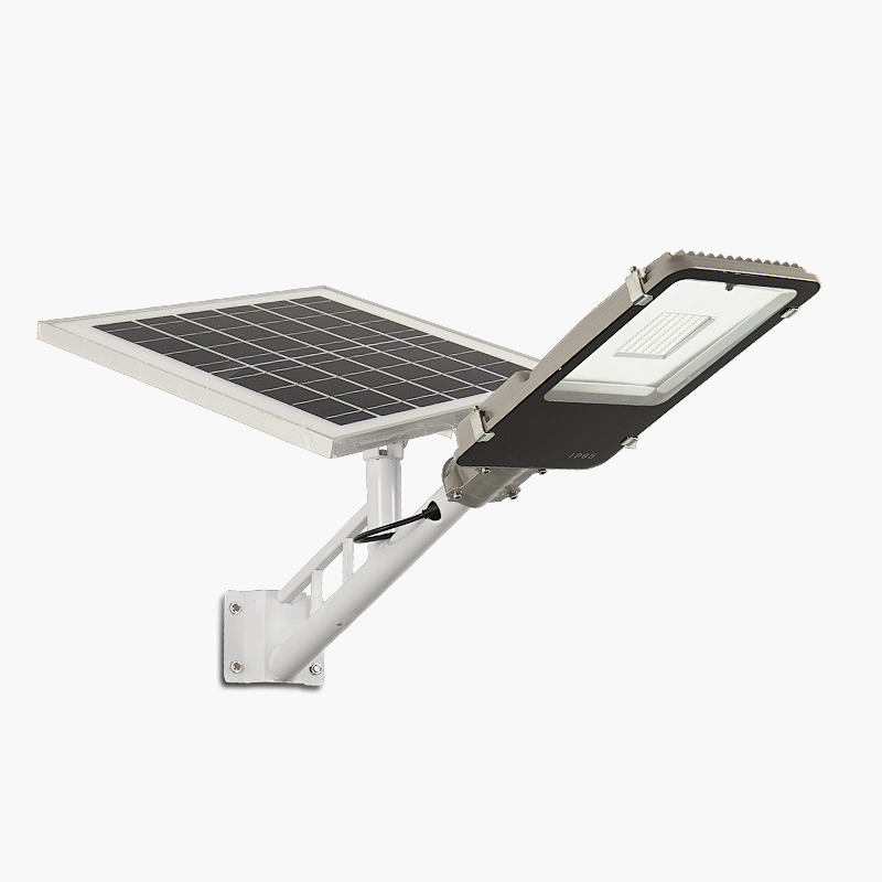 Outdoor IP65 High Lumens 30W-1 - đánh giá và giá Outdoor Lighting Solar Panel