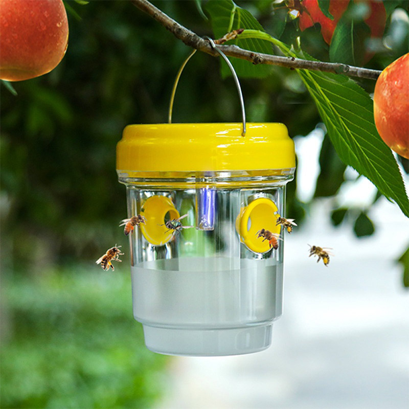 Solar Powered Fruit Fly Traps  - đánh giá và giá Outdoor Lighting Solar Panel